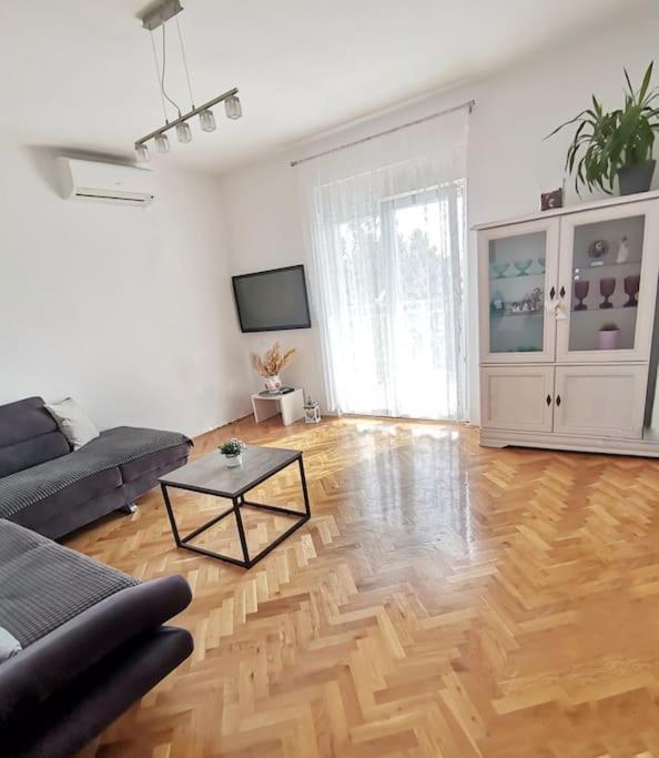 Apartman Pejic Ποντστράνα Εξωτερικό φωτογραφία
